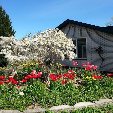 Mini-Apartment In The Flowerbed Søborg エクステリア 写真