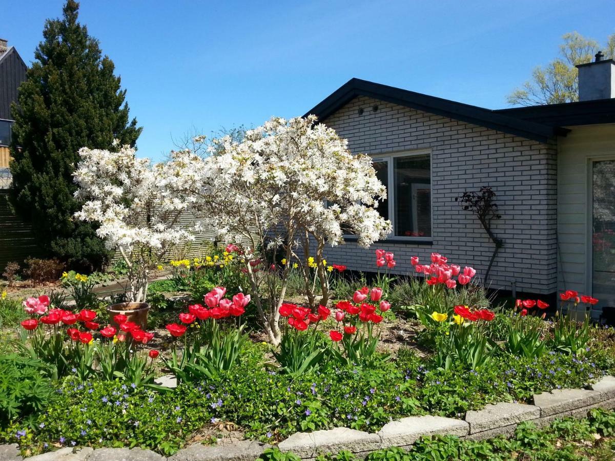 Mini-Apartment In The Flowerbed Søborg エクステリア 写真